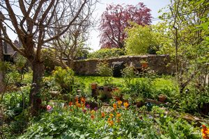 Garden- click for photo gallery